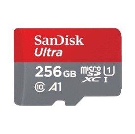 SDSQUAC-256G-GN6MN